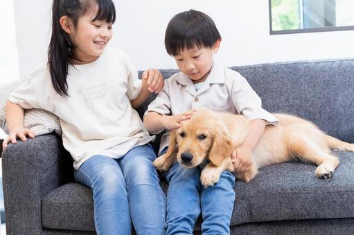 室内犬でもワクチン接種を。